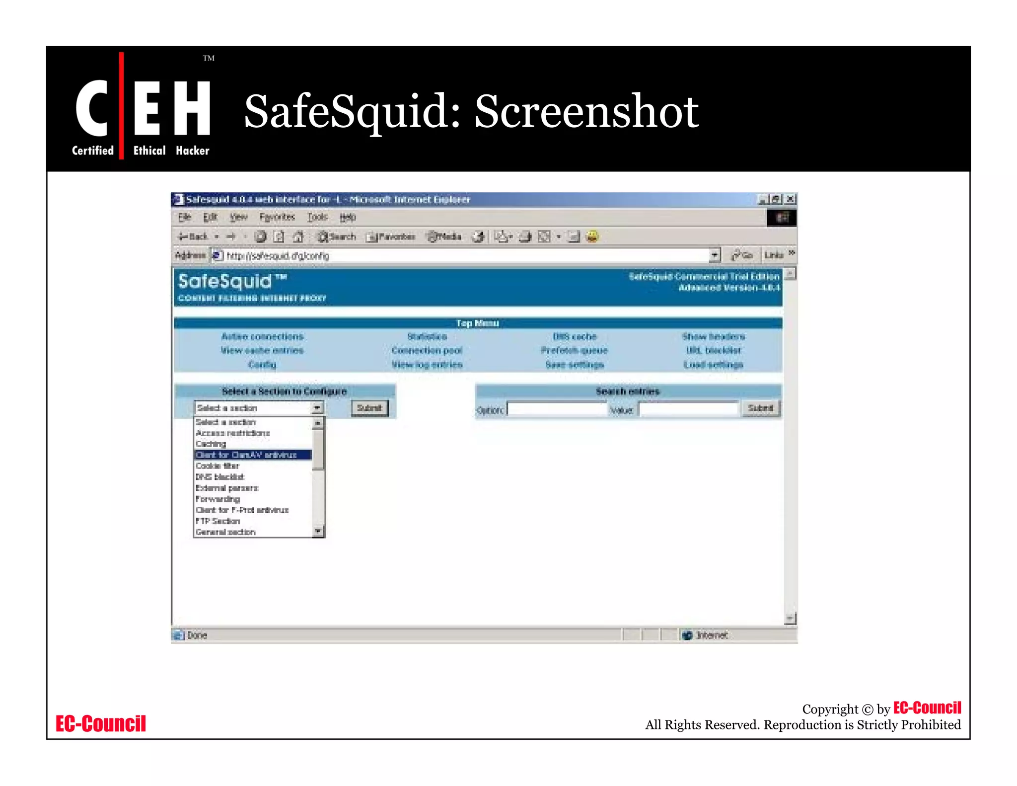 SafeSquid: Screenshot
EC-Council
Copyright © by EC-Council
All Rights Reserved. Reproduction is Strictly Prohibited
 