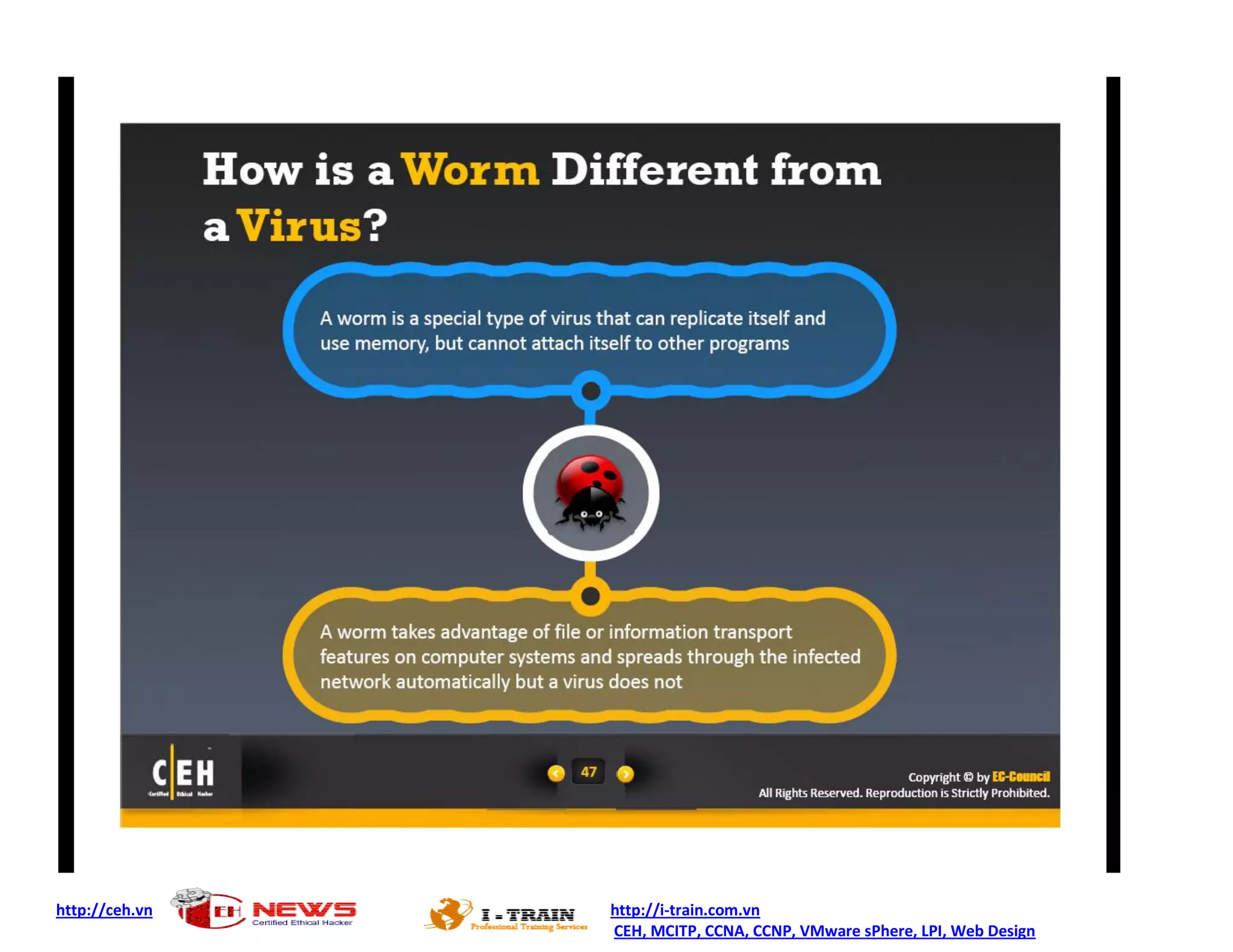 http://ceh.vn http://i-train.com.vn
CEH, MCITP, CCNA, CCNP, VMware sPhere, LPI, Web Design
 