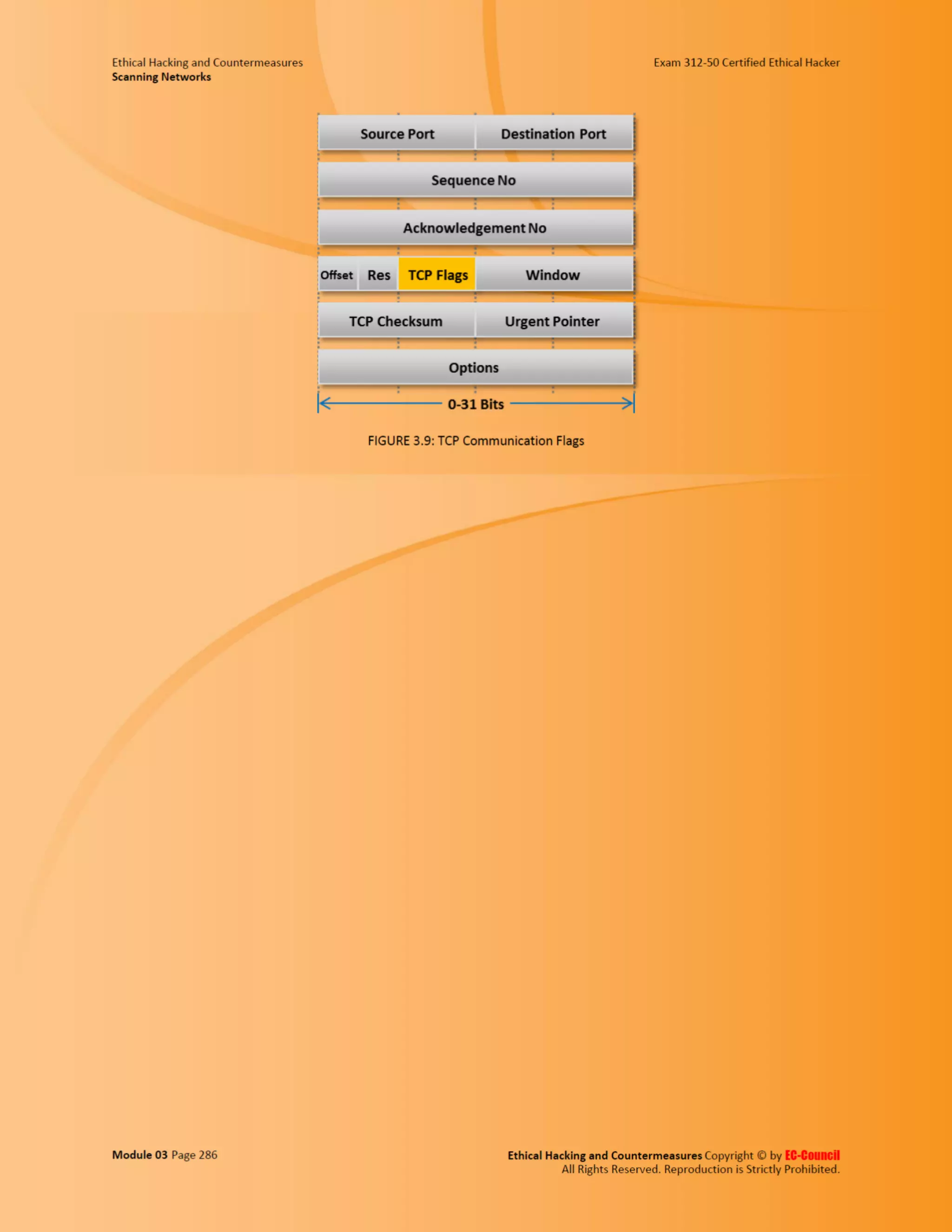 Cehv8 - Module 03: Scanning Networks