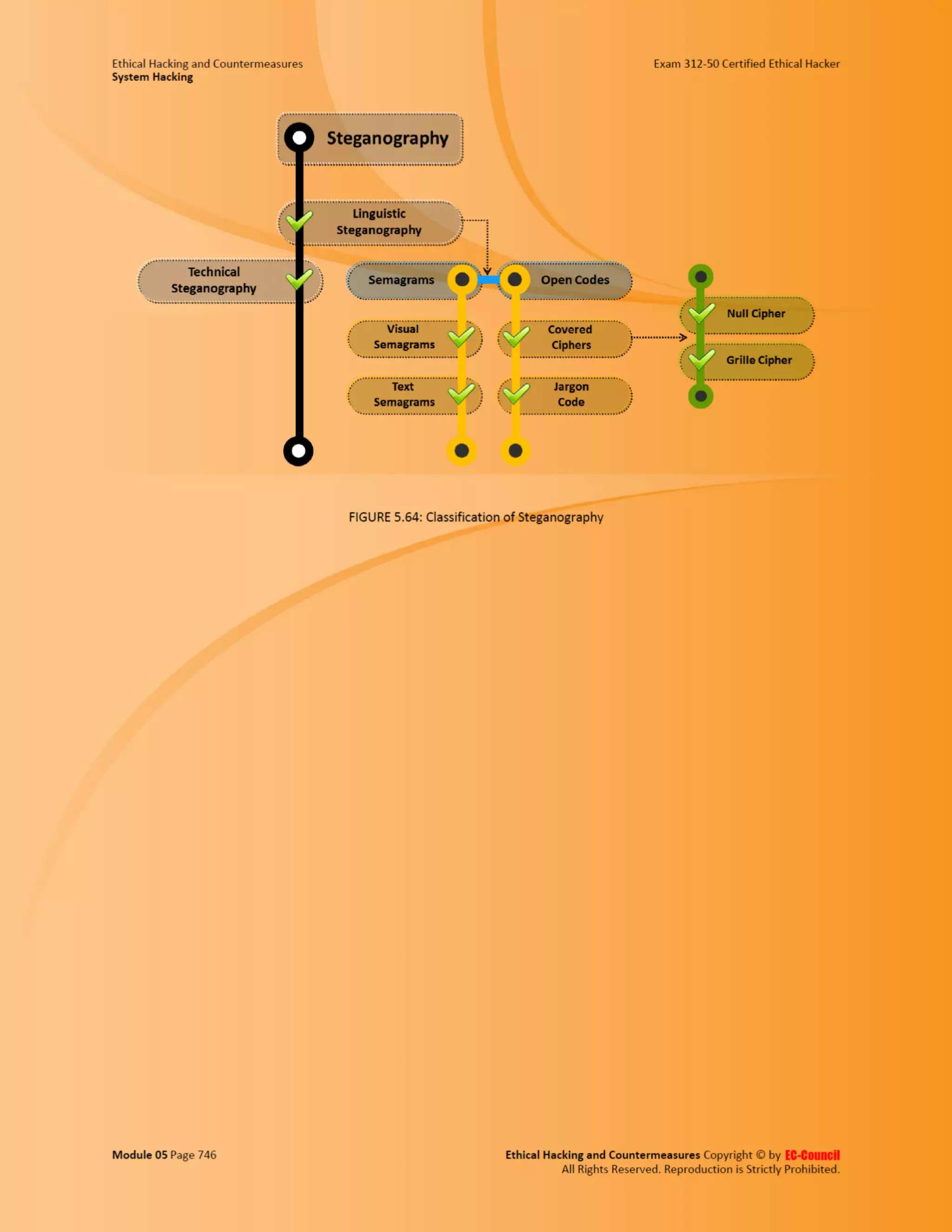 Cehv8 - Module 05: System Hacking