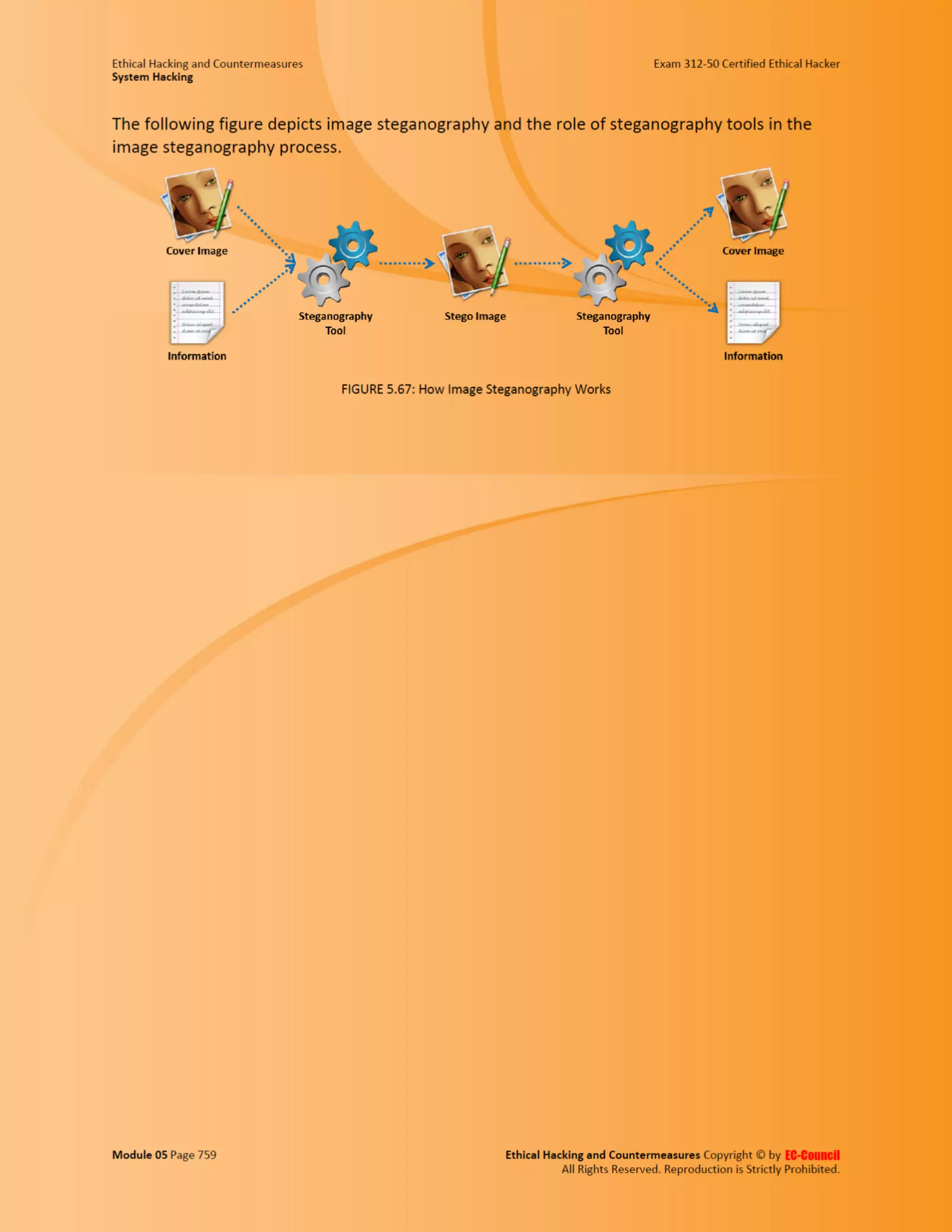 Cehv8 - Module 05: System Hacking