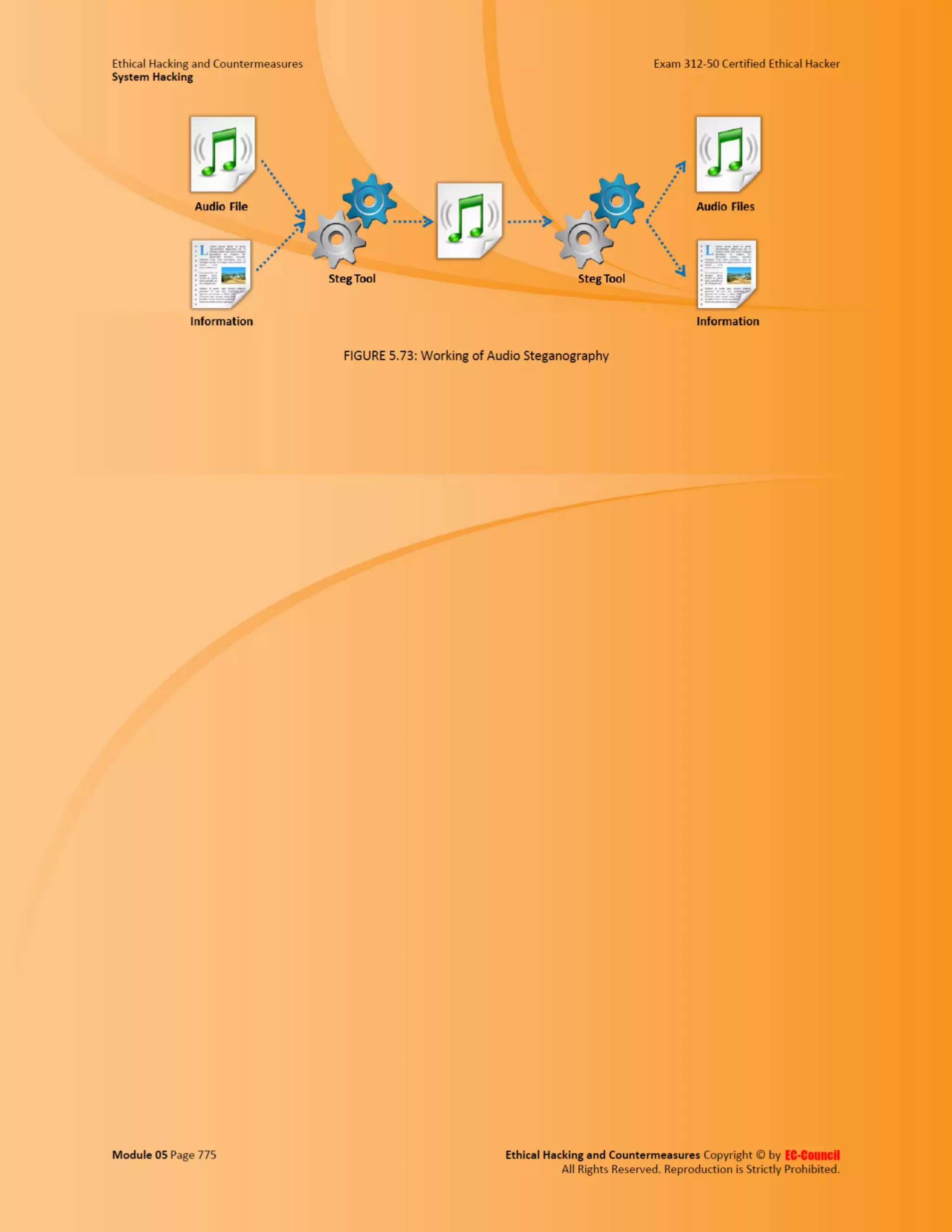 Cehv8 - Module 05: System Hacking