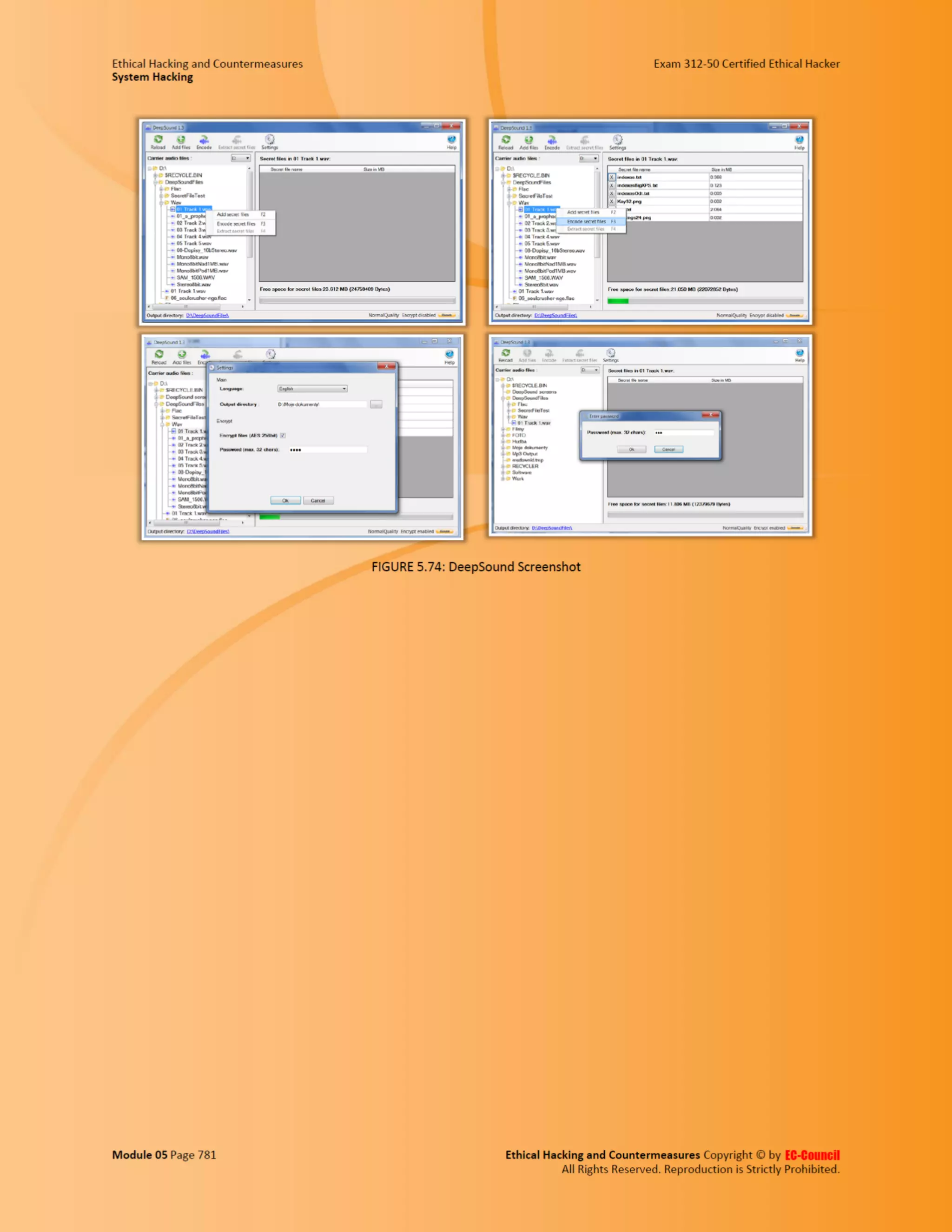Cehv8 - Module 05: System Hacking