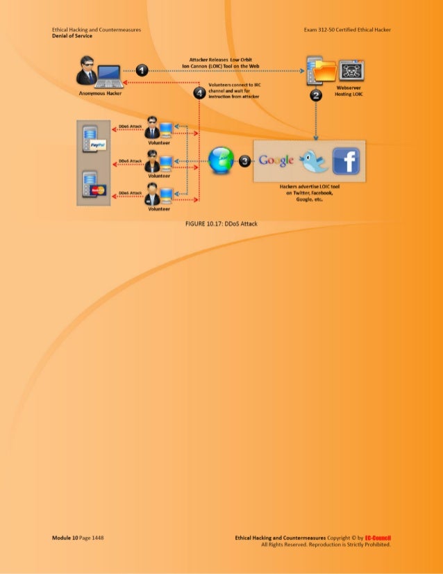 cedh database cedh database