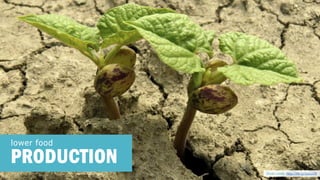 lower food 
PRODUCTION 
Photo credit: http://bit.ly/1yxcu1R  