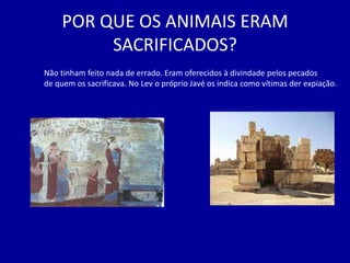 POR QUE OS ANIMAIS ERAM
          SACRIFICADOS?
Não tinham feito nada de errado. Eram oferecidos à divindade pelos pecados
de quem os sacrificava. No Lev o próprio Javé os indica como vítimas der expiação.
 