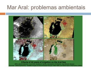 Mar Aral: problemas ambientais
 