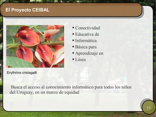 El Proyecto CEIBAL Conectividad  Educativa de Informática Básica para  Aprendizaje en  Línea Erythrina cristagalli Busca el acceso al conocimiento informático para todos los niños del Uruguay, en un marco de equidad 