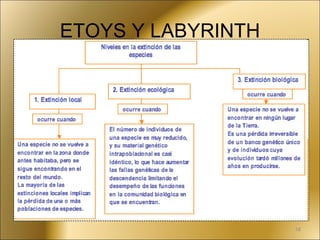 ETOYS Y LABYRINTH 