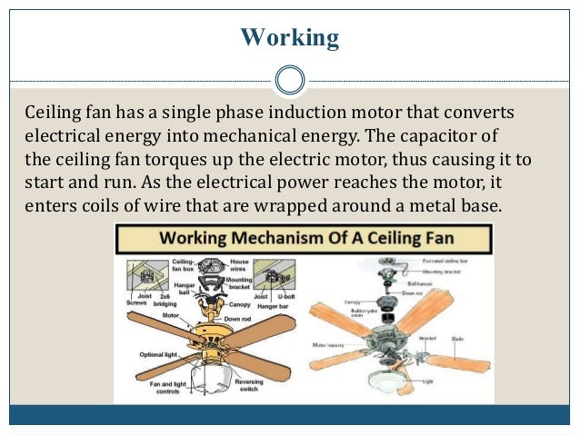 Ceiling Fan Guide To Choose The Right One