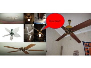Ceiling fan conversations and arguments 