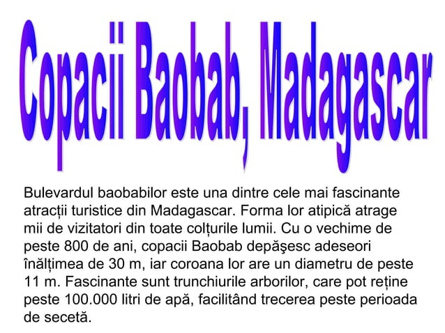 cei-mai-faimosi-10-copaci-din-lume-1-ppt