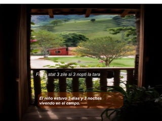 El niño estuvo 3 dias y 3 noches vivendo en el campo.  Fiul a stat 3 zile si 3 nopti la tara .   