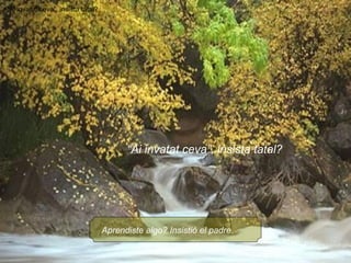 Aprendiste algo? Insistió el padre. “Ai invatat ceva”, insista tatal? “ Ai invatat ceva”, insista tatal? 