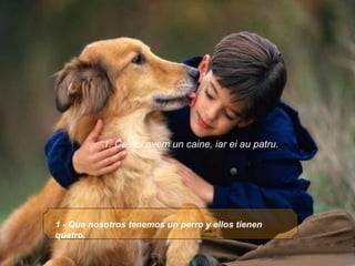 1 - Que nosotros tenemos un perro y ellos tienen quatro. 1. Ca noi avem un caine, iar ei au patru. 