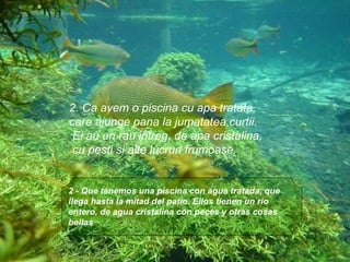 2 - Que tenemos una piscina con agua tratada, que llega hasta la mitad del patio. Ellos tienen un rio entero, de agua cristalina con peces y otras cosas bellas   2. Ca avem o piscina cu apa tratata,  care ajunge pana la jumatatea curtii. Ei au un rau intreg, de apa cristalina, cu pesti si alte lucruri frumoase. 