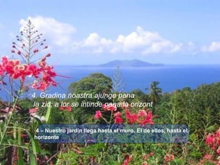   4 – Nuestro jardin llega hasta el muro. El de ellos, hasta el horizonte 4. Gradina noastra ajunge pana la zid; a lor se intinde pana la orizont . 