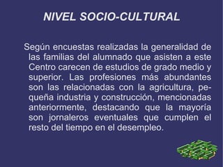 NIVEL SOCIO-CULTURAL

Según encuestas realizadas la generalidad de
 las familias del alumnado que asisten a este
 Centro carecen de estudios de grado medio y
 superior. Las profesiones más abundantes
 son las relacionadas con la agricultura, pe-
 queña industria y construcción, mencionadas
 anteriormente, destacando que la mayoría
 son jornaleros eventuales que cumplen el
 resto del tiempo en el desempleo.
 