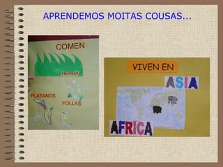 APRENDEMOS MOITAS COUSAS... 