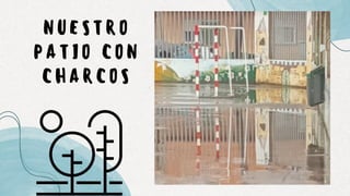 NUESTRO
PATIO CON
CHARCOS
 
