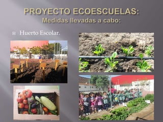  Huerto Escolar.
 