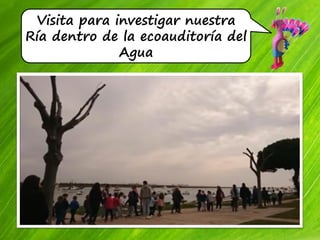 Visita para investigar nuestra
Ría dentro de la ecoauditoría del
Agua
 