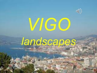 VIGO
landscapes
 