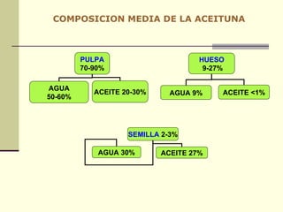 COMPOSICION MEDIA DE LA ACEITUNA HUESO 9-27% AGUA 9% ACEITE <1% PULPA 70-90% AGUA 50-60% ACEITE 20-30% ACEITE 27% SEMILLA  2-3% AGUA 30% 