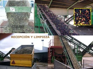 RECEPCIÓN Y LIMPIEZA   