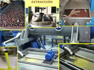 EXTRACCIÓN 