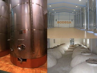 BODEGA 