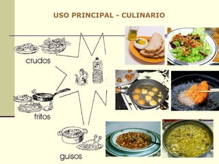 USO PRINCIPAL - CULINARIO 