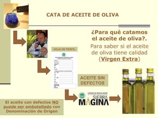 CATA DE ACEITE DE OLIVA ¿Para qué catamos el aceite de oliva?. Para saber si el aceite de oliva tiene calidad ( Virgen Extra ) ACEITE SIN DEFECTOS HOJA DE PERFIL El aceite con defectos  NO puede ser embotellado  con Denominación de Origen 