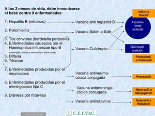 A los 2 meses de vida, debe inmunizarse al bebé contra 9 enfermedades:  1. Hepatitis B (refuerzo) 2. Poliomielitis  3. Tos convulsa (bordetella pertussis) 4. Enfermedades causadas por el    Haemophilus influenzae tipo B    (meningitis, artritis y neumonías, entre otras) 5. Difteria 6. Tétanos 7. Enfermedades producidas por el   neumococo 8. Enfermedades producidas por el    meningococo tipo C 9. Diarreas por rotavirus Vacuna anti hepatitis B Vacuna Sabin o Salk Vacuna Cuádruple Vacuna antineumo- cócica conjugada Vacuna antimeningo- cócica conjugada Vacuna antirotavirus Hexava-lente acelular Quíntuple acelular Pentaxim®  o Poliacel® Infanrix Hexa® Prevenar® Neisvac® o Menjugate® Rotarix® o Rotatec® <= volver al menú principal 