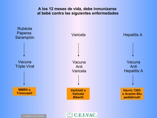 A los 12 meses de vida, debe inmunizarse  al bebé contra las  siguientes enfermedades Hepatitis A <= volver al menú principal Rubéola Paperas  Sarampión Vacuna Triple Viral Vacuna Anti Hepatitis A MMR® o Trimovax® Havrix 720® o Avaxim 80u pediátrica® Varicela Vacuna Anti Varicela Varilrix® o Varicela Biken® 