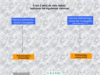 A los 2 años de vida, deben  aplicarse las siguientes vacunas <= volver al menú principal Vacuna Antimeningo- cócica No Conjugada (gérmenes tipo A y C) Vacuna Antineumo- cócica Conjugada Antimeningo- cócica A+C® Pneumovac® o Pneumo23® 