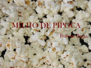 MILHO DE PIPOCA
          Rubens Braga
 