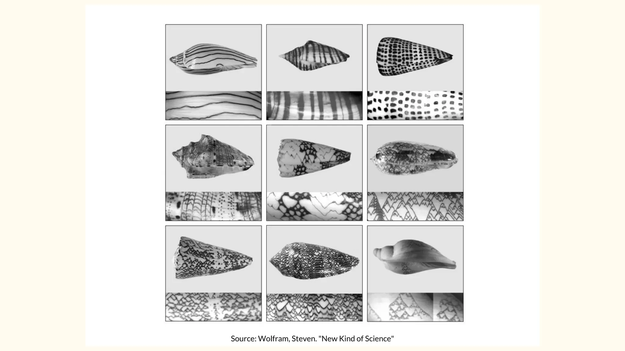 Source: Wolfram, Steven. "New Kind of Science"
 