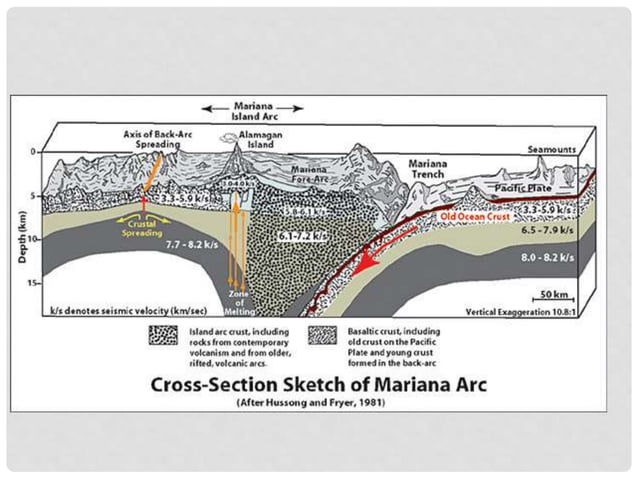 Cekungan samudra dan litologi batuan lempeng samudra | PPSX