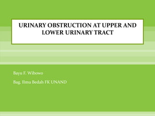 URINARY OBSTRUCTION AT UPPER AND
        LOWER URINARY TRACT




Bayu F. Wibowo

Bag. Ilmu Bedah FK UNAND
 
