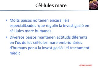 Molts països no tenen encara lleis especialitzades  que regulin la investigació en cèl·lules mare humanes.  Diversos països mantenen actituds diferents en l'ús de les cèl·lules mare embrionàries d'humans per a la investigació i el tractament mèdic Cèl·lules mare 