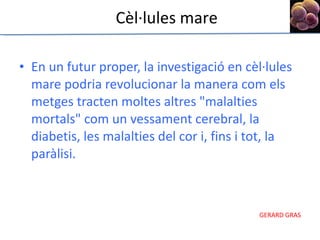 En un futur proper, la investigació en cèl·lules mare podria revolucionar la manera com els metges tracten moltes altres "malalties mortals" com un vessament cerebral, la diabetis, les malalties del cor i, fins i tot, la paràlisi. Cèl·lules mare 