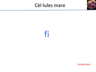 fi Cèl·lules mare 