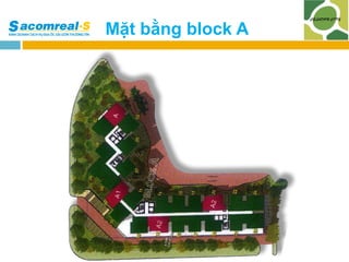 Mặt bằng block A

 