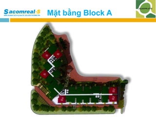 Mặt bằng Block A

 