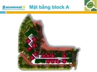 Mặt bằng block A

 