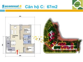 Căn hộ C: 67m2

 