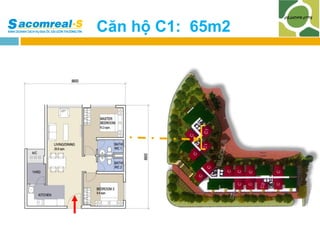 Căn hộ C1: 65m2

 
