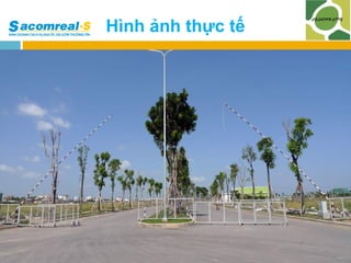 Hình ảnh thực tế

 