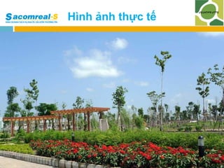 Hình ảnh thực tế

 